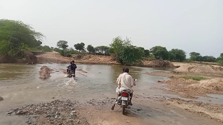 WhatsApp Image 2025 10 09 at 10.41.48 AM