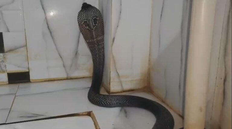 WhatsApp Image 2025 10 09 at 12.19.59 b01d9a3e