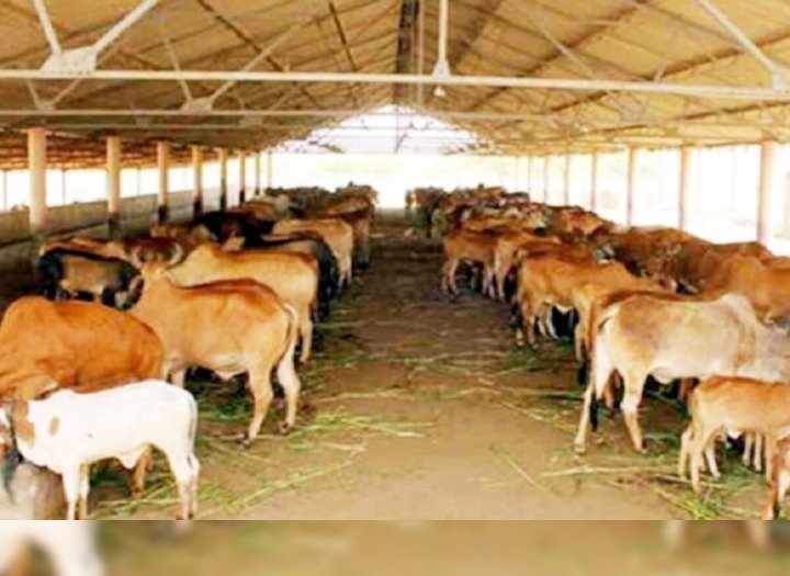 हरनावदाशाहजी में गौशाला और कब्रिस्तान की जमीन का वादा अधूरा, मुस्लिम समाज में नाराजगी