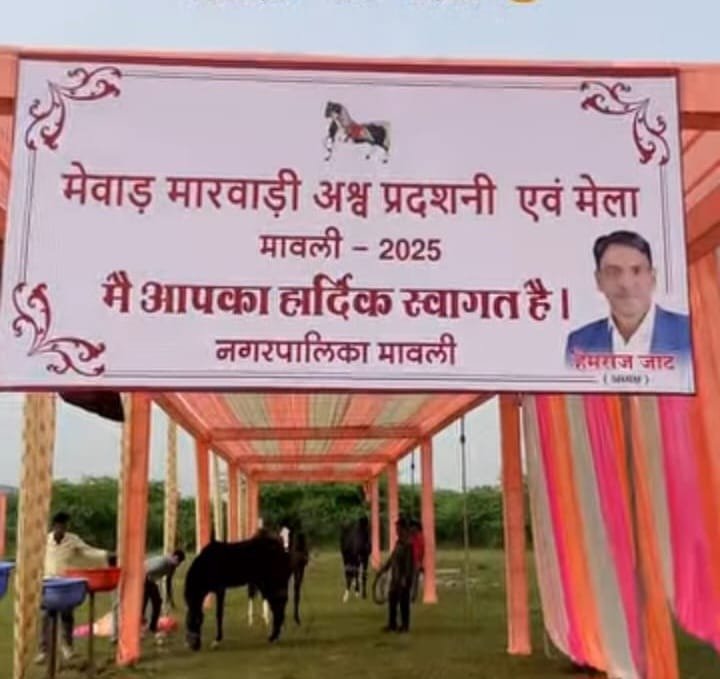 मावली नगर पालिका मेले में विवाद: प्रशासक नियुक्त होने के बावजूद पूर्व चेयरमैन ने लगाया निजी बोर्ड