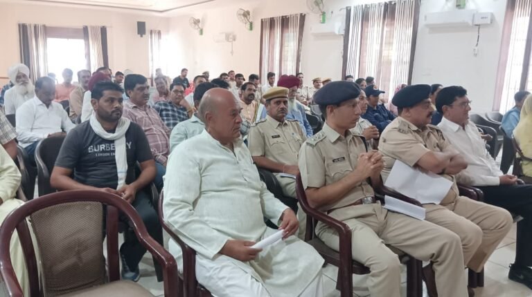 WhatsApp Image 2025 10 13 at 12.39.03 PM