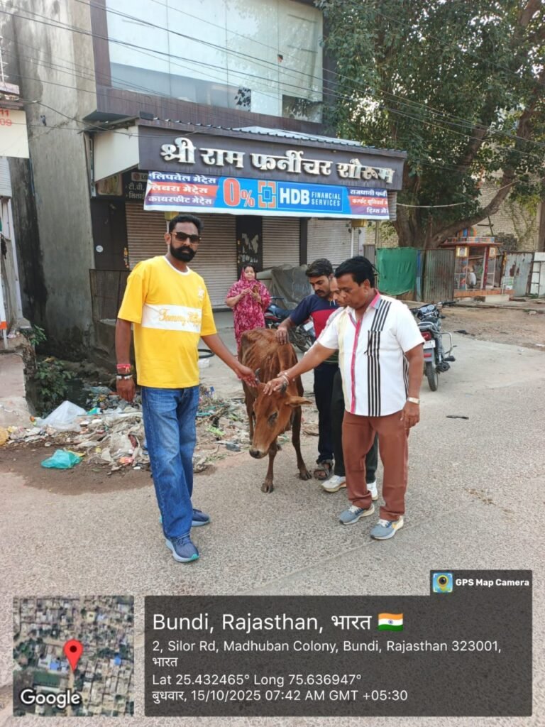 WhatsApp Image 2025 10 15 at 12.23.10 PM