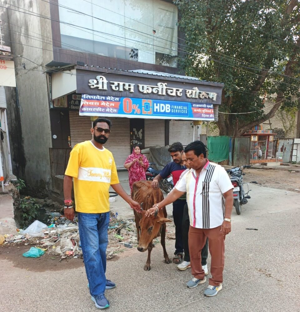 बूंदी में नाले में फंसी गाय की सफल बचाव अभियान