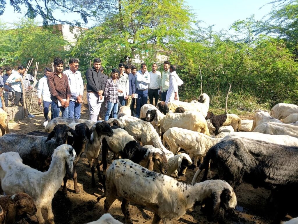 WhatsApp Image 2025 10 15 at 12.47.09 PM