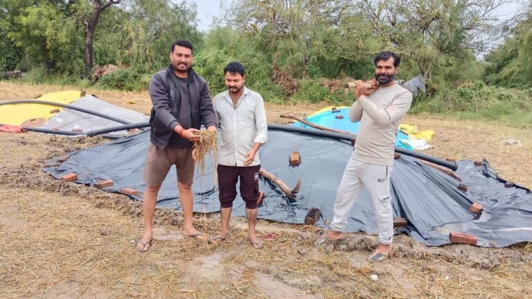 WhatsApp Image 2025 10 28 at 12.59.58 PM