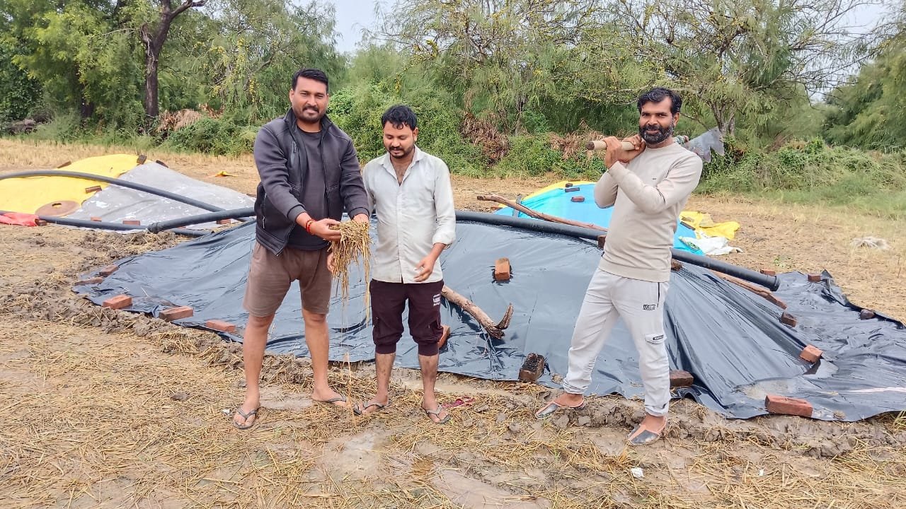 मांगरोल क्षेत्र में अचानक बारिश से फसलों को भारी नुकसान