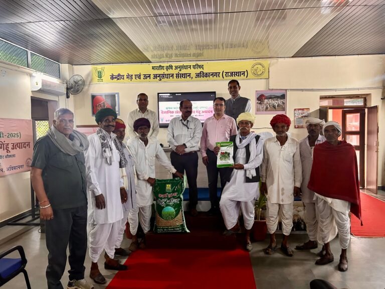 WhatsApp Image 2025 10 28 at 14.37.01