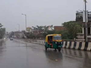 comp 21 31761793998 1761796232