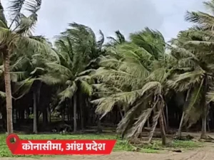 comp 7 141761663258 1761675930