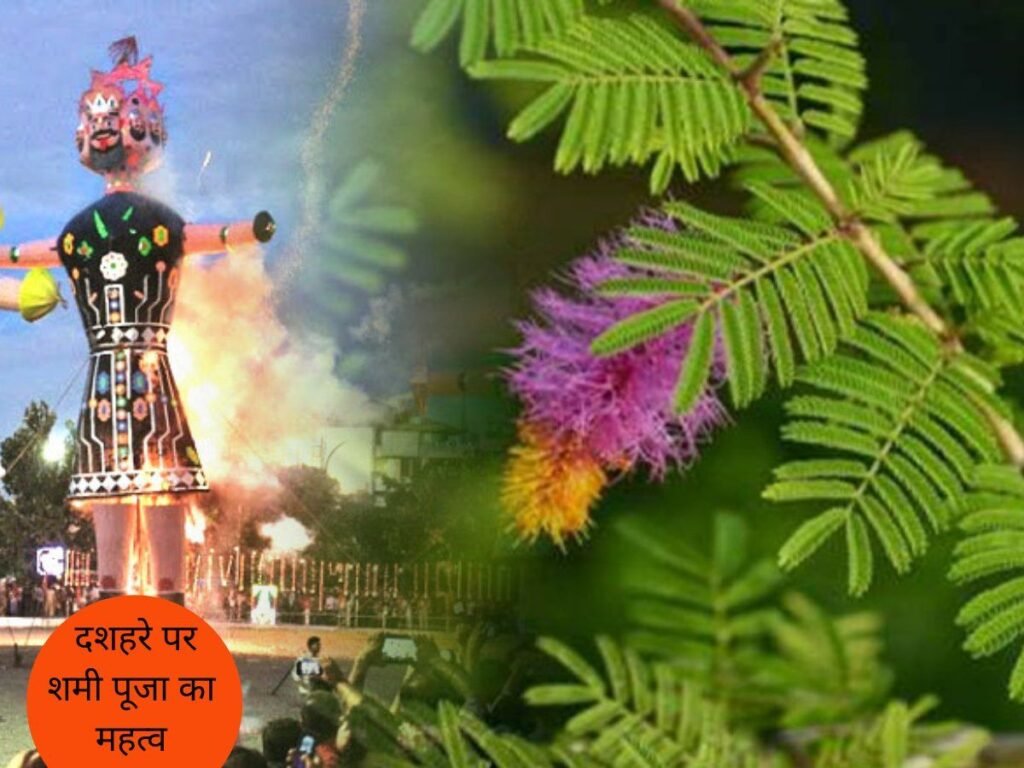 dshhre pr shmii puujaa kaa mhtv