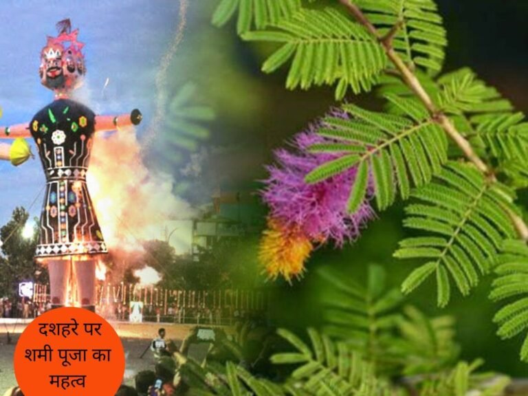 dshhre pr shmii puujaa kaa mhtv