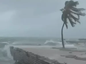 gifmagicsite 65 1761673153