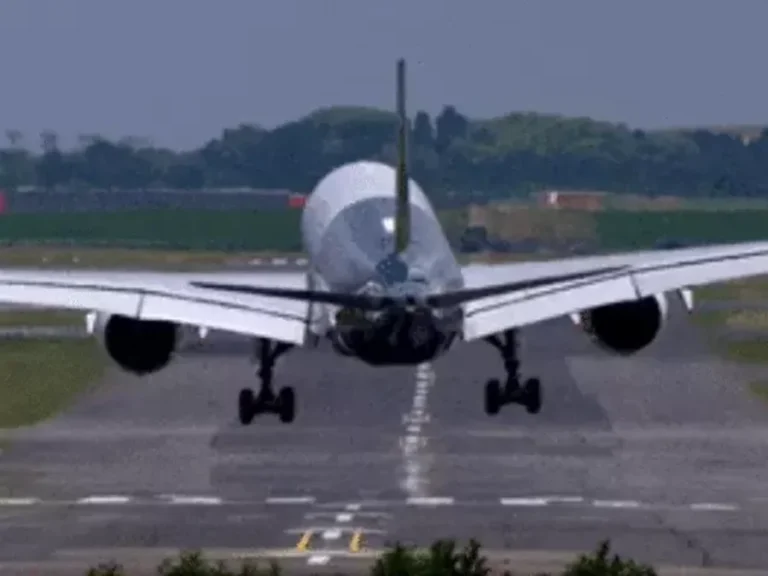 1003320772 1764044674 ezgif.com resize