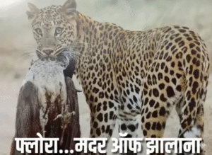 Gemini Generated Image hrpxk4hrpxk4hrpx