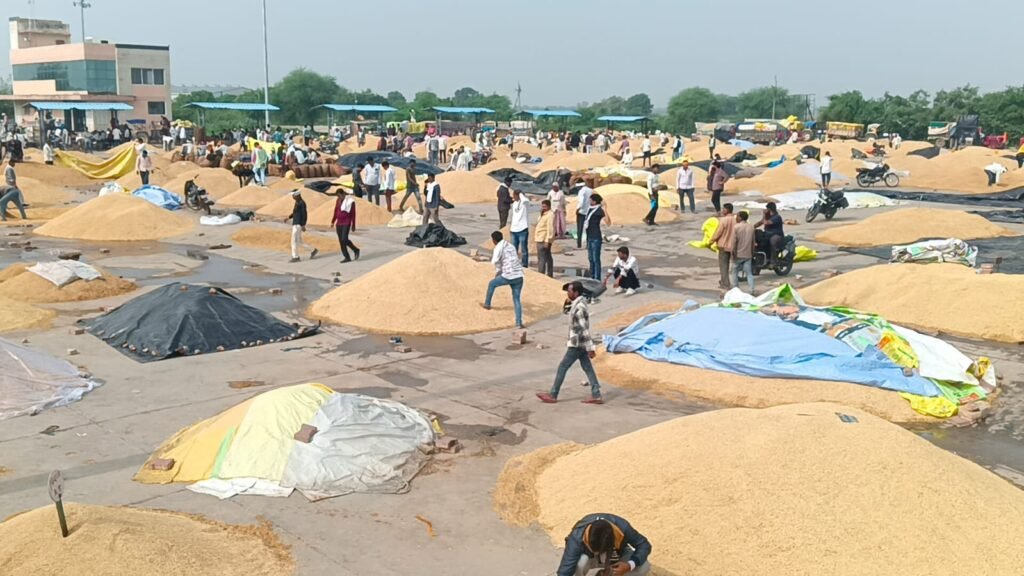 WhatsApp Image 2025 11 04 at 12.20.11 PM 1