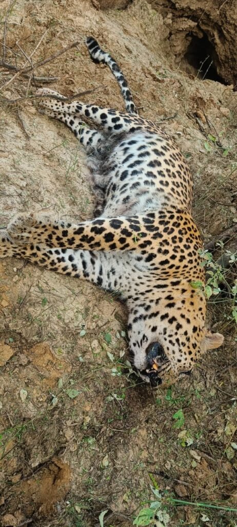 WhatsApp Image 2025 11 13 at 4.41.23 PM