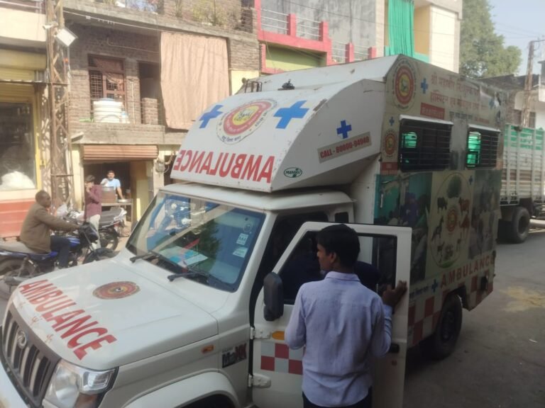 WhatsApp Image 2025 11 17 at 1.57.12 PM