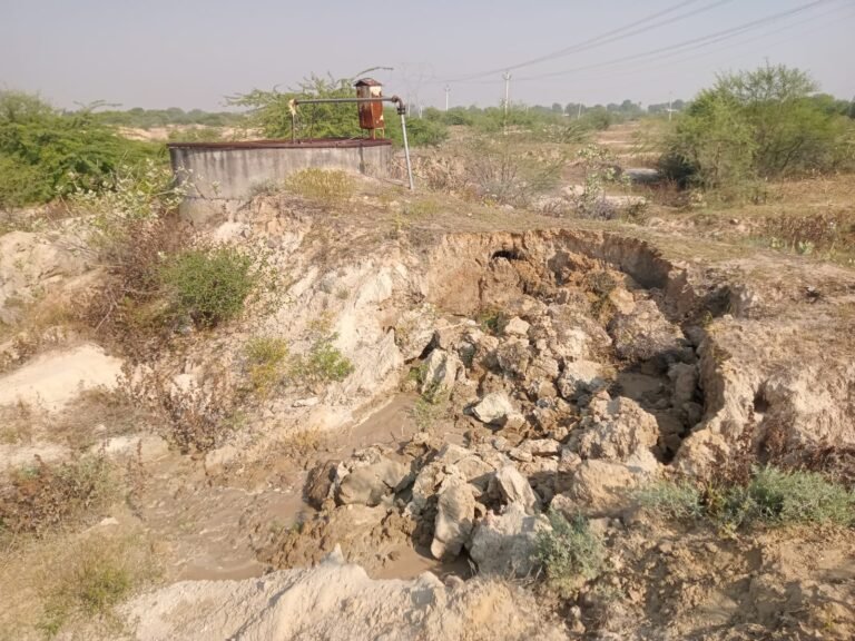 WhatsApp Image 2025 11 18 at 11.00.42 AM