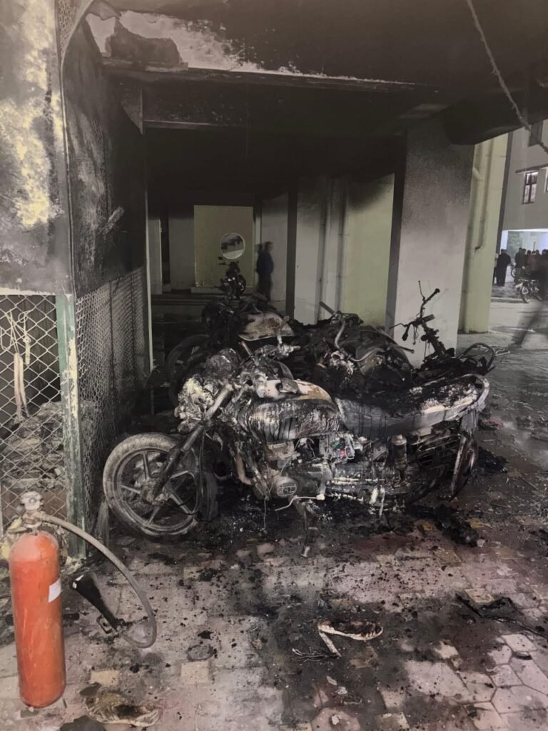 WhatsApp Image 2025 11 18 at 11.10.47 AM