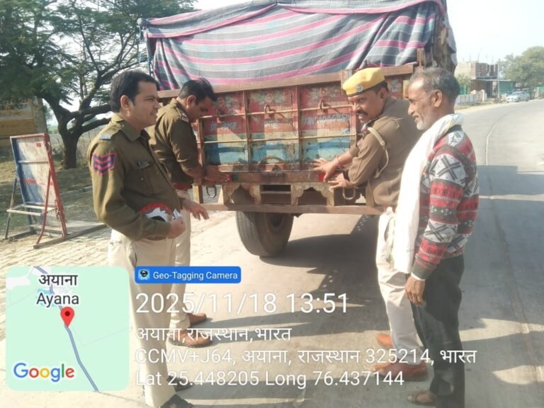 WhatsApp Image 2025 11 18 at 2.45.40 PM