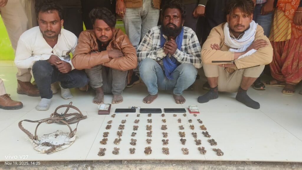 WhatsApp Image 2025 11 20 at 5.22.17 PM