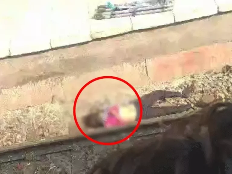 comp 1087 1762318365 ezgif.com resize