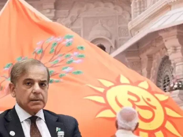 comp 144 1764142155 ezgif.com resize