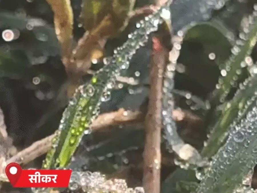 राजस्थान में बारिश का अलर्ट: जयपुर समेत कई जिलों में तापमान 30° से नीचे, सर्द हवा ने बढ़ाई ठंडक