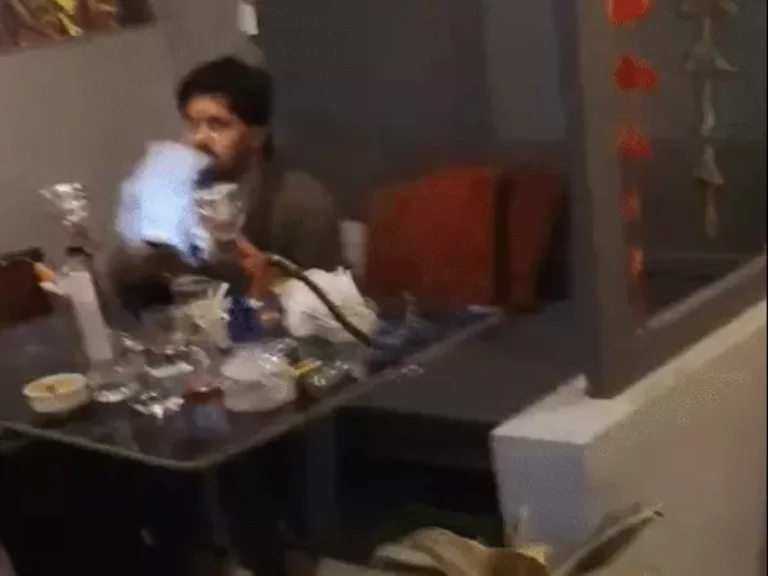 cover8 1 1764048527 ezgif.com resize