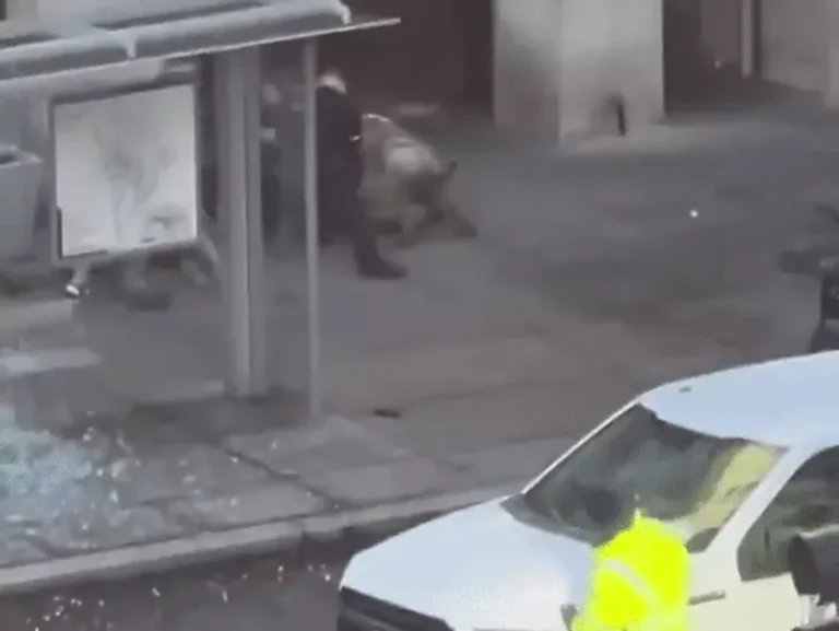 gifmagicsite 2025 11 27t084714210 1764212950 ezgif.com resize