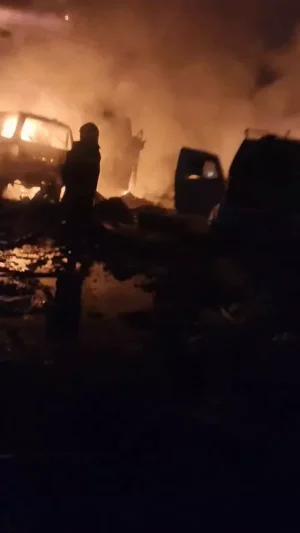 gifmagicsite 2 1763146768