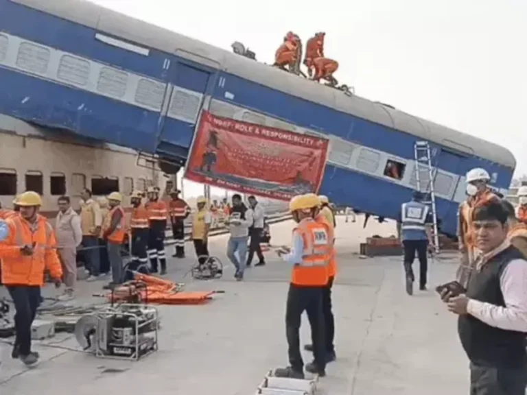 img8855 1764223020 ezgif.com resize