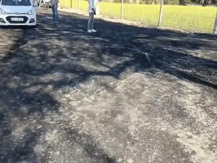 सीकर सड़क घोटाला: 95 लाख की सड़क 1 दिन में उखड़ी, घटिया निर्माण पर ग्रामीणों का रोष