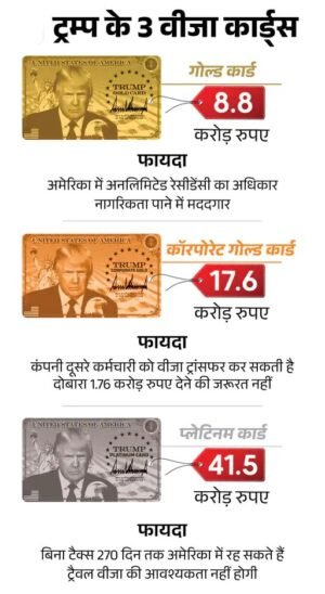 31758365742 1765419312