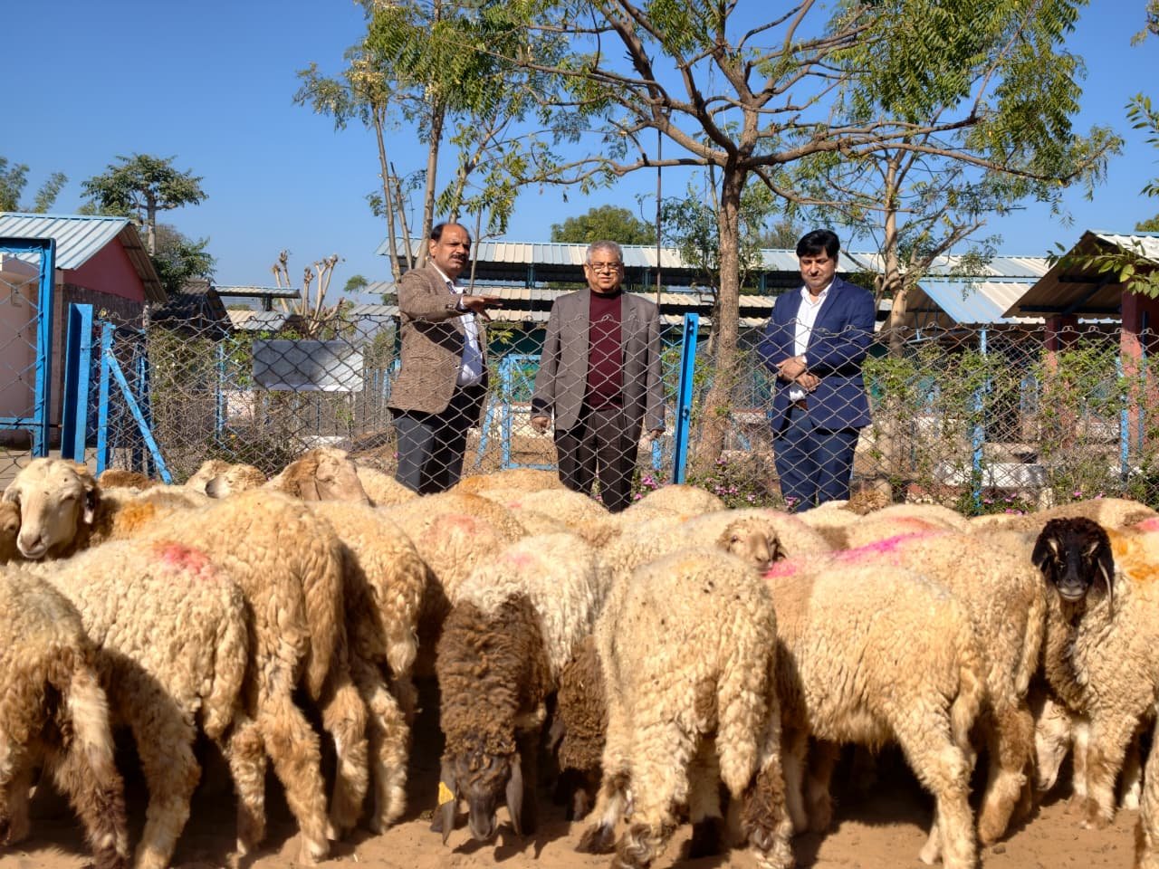 Dr Tribhuvan Sharma CSWRI Visit: अविकानगर में केंद्रीय भेड़ एवं ऊन अनुसंधान संस्थान का कुलगुरु डॉ. त्रिभुवन शर्मा ने किया भ्रमण, शोध कार्यों की सराहना