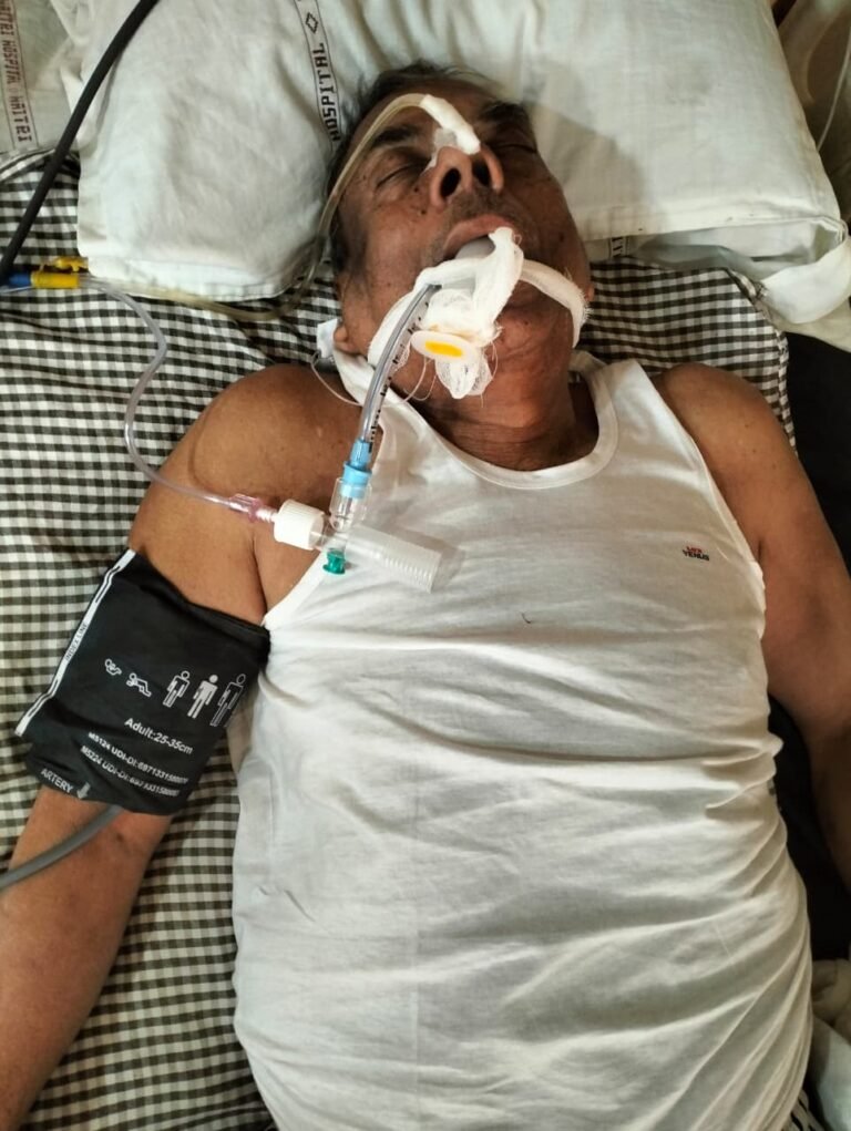 Stray Bulls Attack Kota