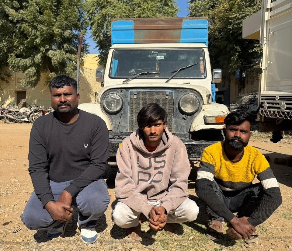 interstate theft gang: मकराना पुलिस की बड़ी कार्रवाई, सुअर चोरी के अंतरराज्यीय गिरोह के 3 सदस्य गिरफ्तार, पिकअप जब्त