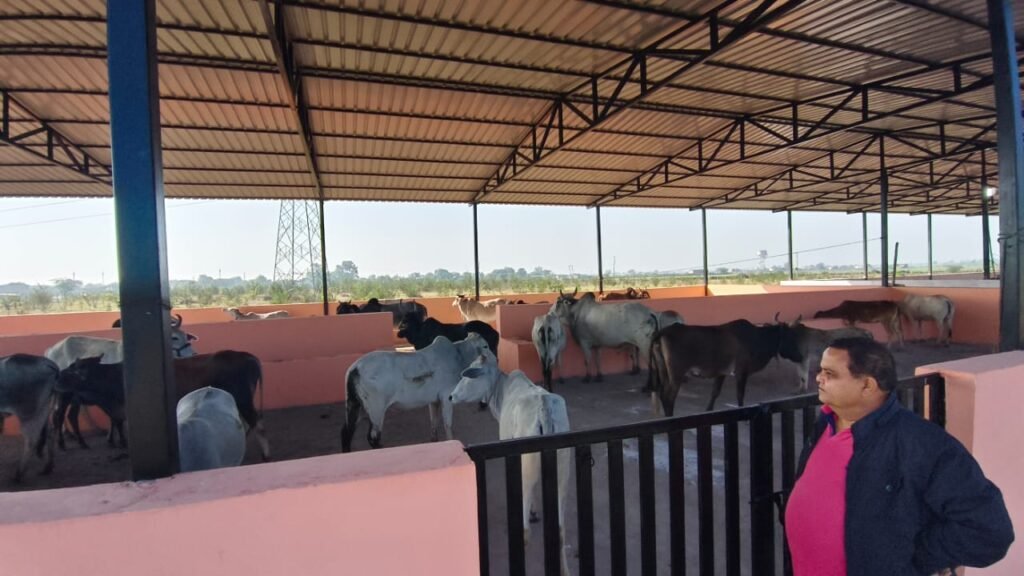 Neelkanth Nandi Gaushala