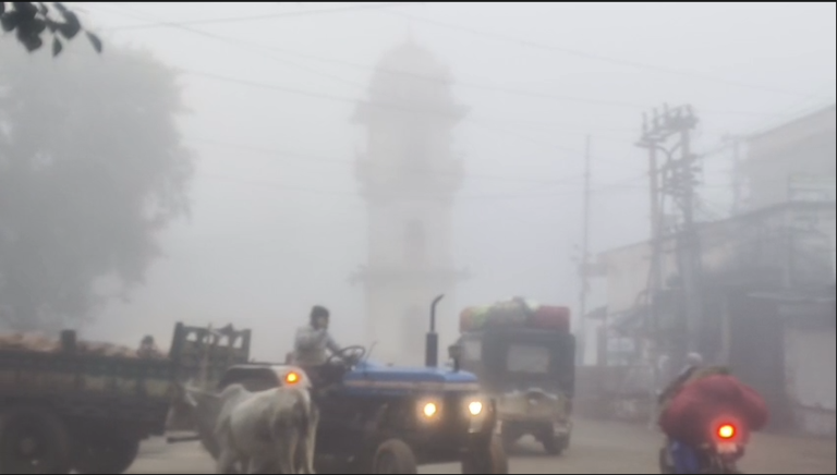 टोंक जिला घना कोहरा