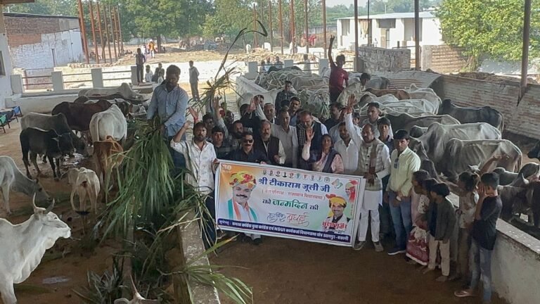 WhatsApp Image 2025 12 01 at 07.49.09 1