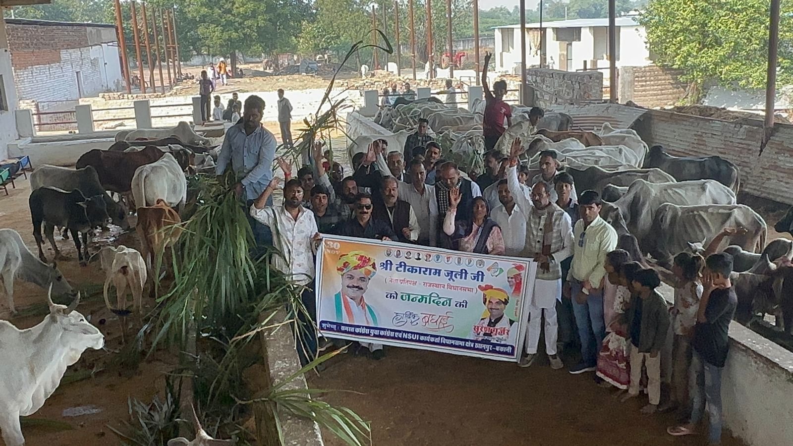 खानपुर में नेता प्रतिपक्ष टीकाराम जूली का 45वां जन्मदिन धूमधाम से मनाया, कृष्णानंद गौशाला में गौसेवा कर किया उत्सव