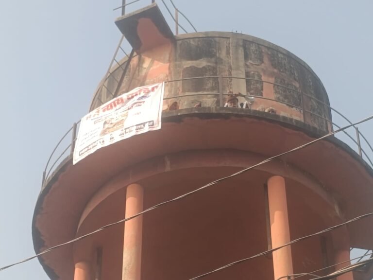 WhatsApp Image 2025 12 01 at 15.10.04