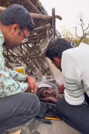 बुजुर्ग सहायता