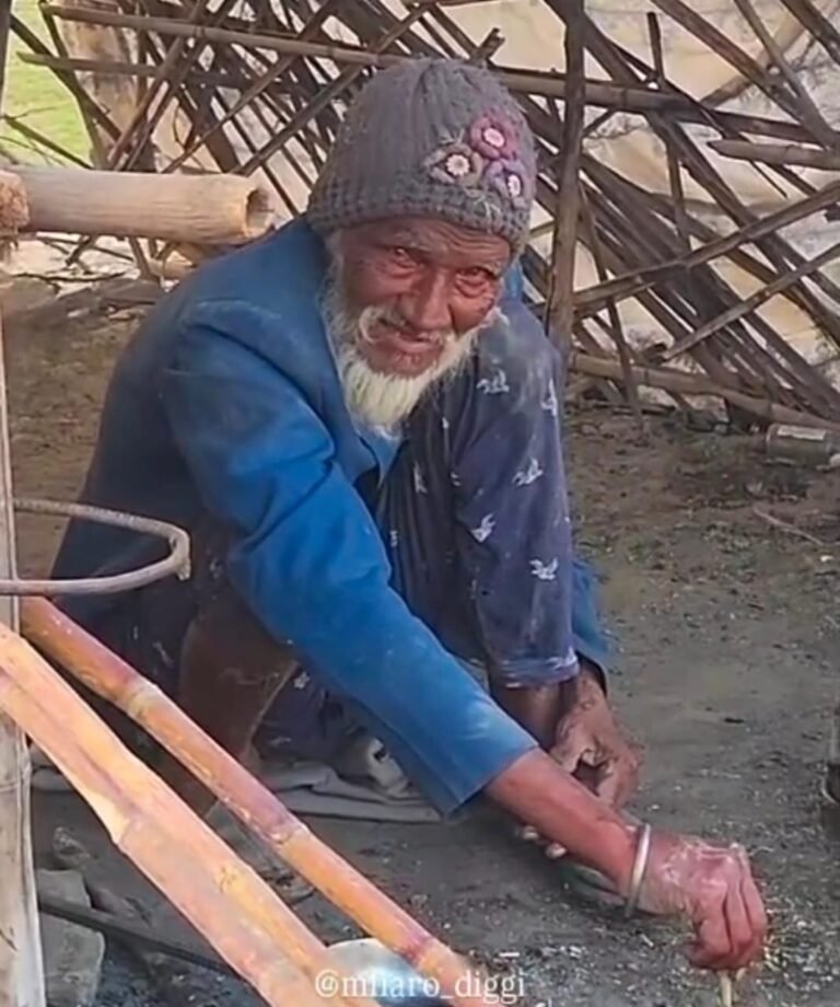 बुजुर्ग सहायता