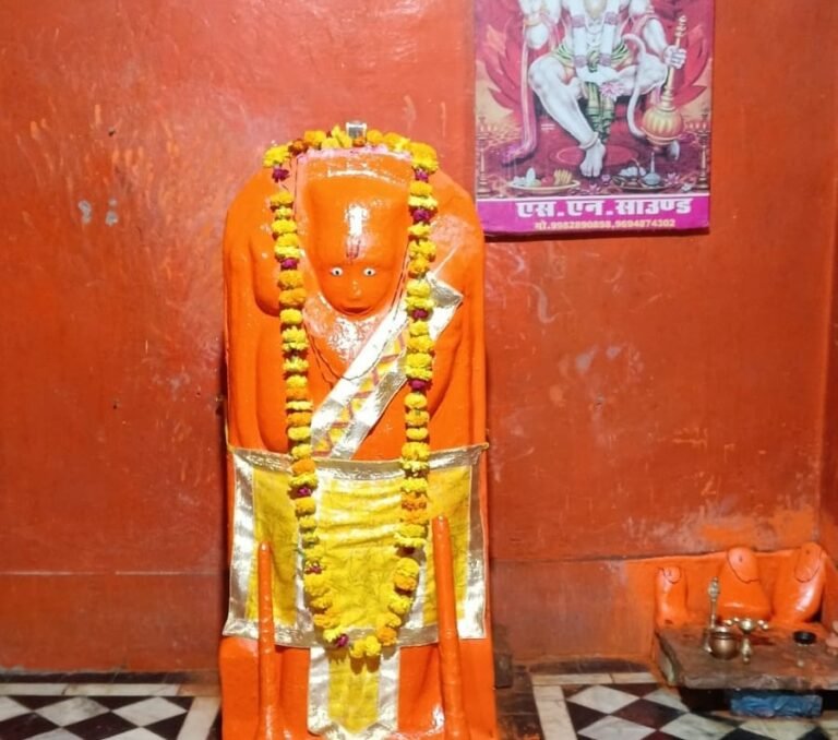 Bag Wale Balaji Mahotsav