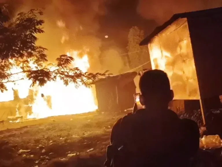 comp 1313 1764640561 ezgif.com resize