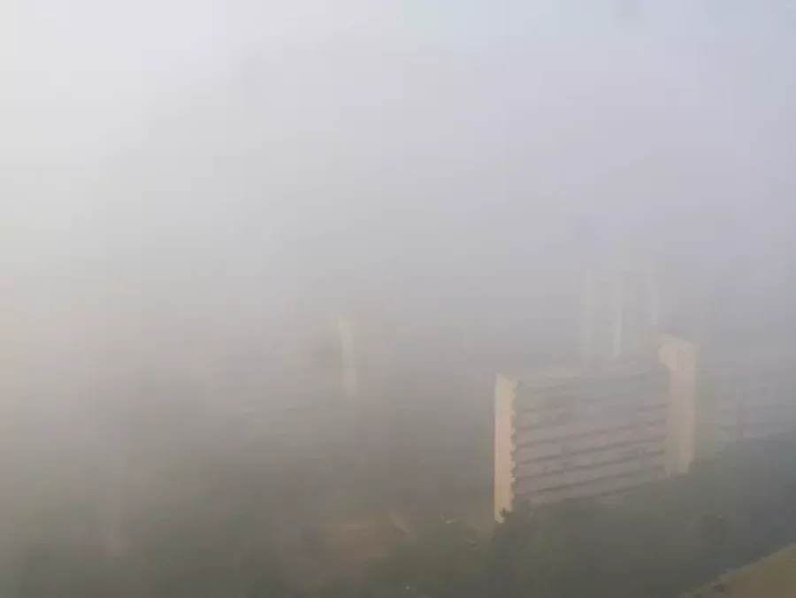 Delhi AQI 500: जहरीले स्मॉग से दिल्ली बेहाल, 228 उड़ानें कैंसिल, मेसी PM मोदी से नहीं मिल पाए