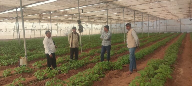 Protected Farming