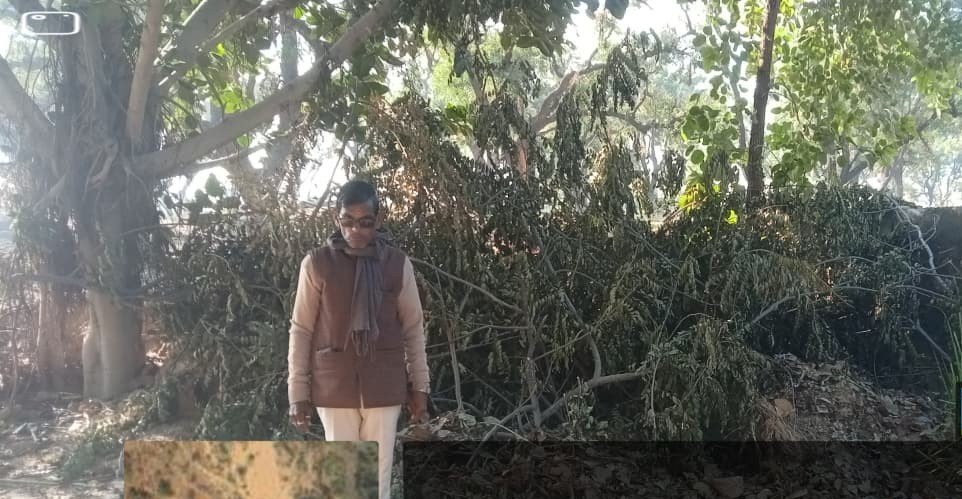 वृक्ष सुरक्षा: मालपुरा भैरू बाल उद्यान में अवैध पेड़ कटाई रोकने पर कुल्हाड़ी से जानलेवा हमला