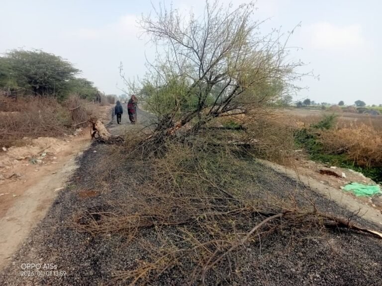 पंवालिया